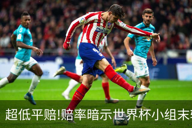 超低平赔!赔率暗示世界杯小组末轮一场默契球?